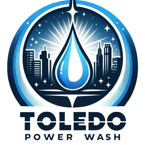 toledopowerwash_logo-removebg-preview+(2)